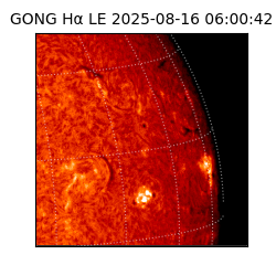 gong - 2025-08-16T06:00:42
