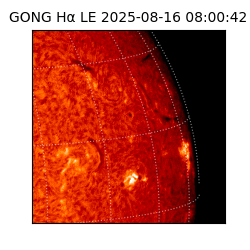 gong - 2025-08-16T08:00:42