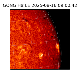 gong - 2025-08-16T09:00:42