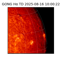 gong - 2025-08-16T10:00:22