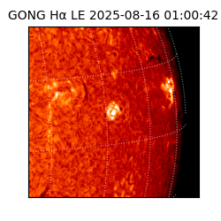 gong - 2025-08-16T01:00:42