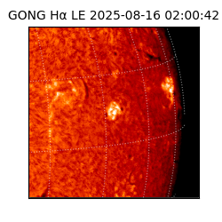 gong - 2025-08-16T02:00:42