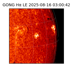 gong - 2025-08-16T03:00:42