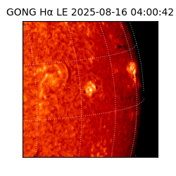 gong - 2025-08-16T04:00:42