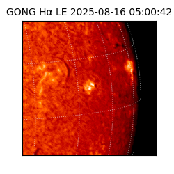 gong - 2025-08-16T05:00:42