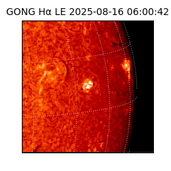 gong - 2025-08-16T06:00:42
