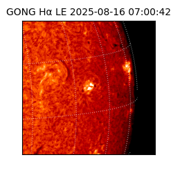 gong - 2025-08-16T07:00:42