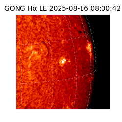 gong - 2025-08-16T08:00:42