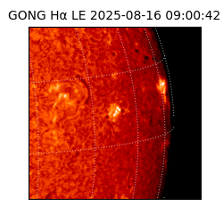 gong - 2025-08-16T09:00:42