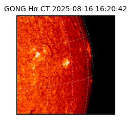 gong - 2025-08-16T16:20:42