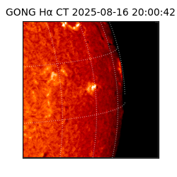 gong - 2025-08-16T20:00:42