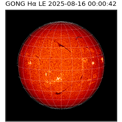 gong - 2025-08-16T00:00:42