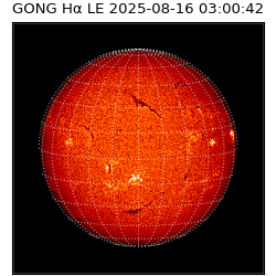 gong - 2025-08-16T03:00:42