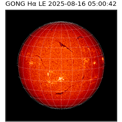 gong - 2025-08-16T05:00:42