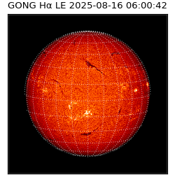 gong - 2025-08-16T06:00:42