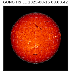 gong - 2025-08-16T08:00:42