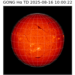 gong - 2025-08-16T10:00:22