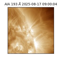 saia - 2025-08-17T09:00:04.835000