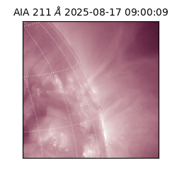 saia - 2025-08-17T09:00:09.618000