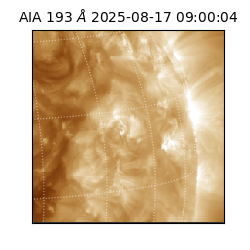 saia - 2025-08-17T09:00:04.835000