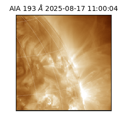 saia - 2025-08-17T11:00:04.843000