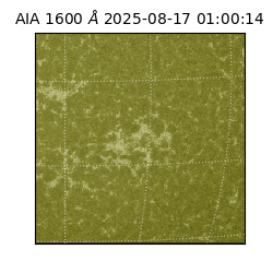 saia - 2025-08-17T01:00:14.118000