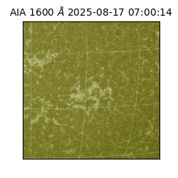 saia - 2025-08-17T07:00:14.125000