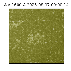 saia - 2025-08-17T09:00:14.117000