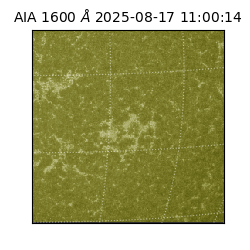 saia - 2025-08-17T11:00:14.125000