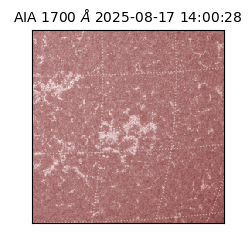 saia - 2025-08-17T14:00:28.721000