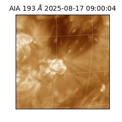 saia - 2025-08-17T09:00:04.835000