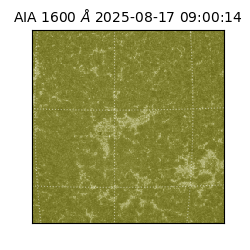 saia - 2025-08-17T09:00:14.117000