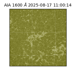 saia - 2025-08-17T11:00:14.125000