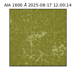 saia - 2025-08-17T12:00:14.125000