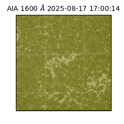 saia - 2025-08-17T17:00:14.129000