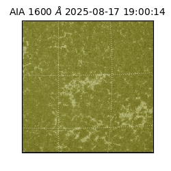 saia - 2025-08-17T19:00:14.129000