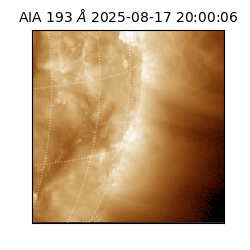 saia - 2025-08-17T20:00:06.228000