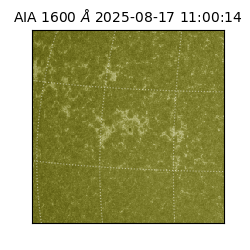 saia - 2025-08-17T11:00:14.125000