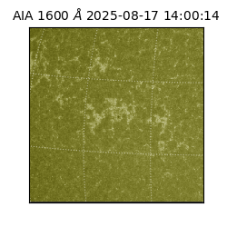 saia - 2025-08-17T14:00:14.125000