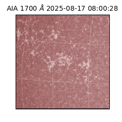 saia - 2025-08-17T08:00:28.721000