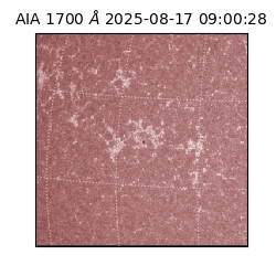 saia - 2025-08-17T09:00:28.720000