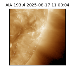 saia - 2025-08-17T11:00:04.843000