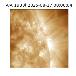 saia - 2025-08-17T08:00:04.843000