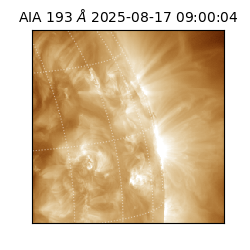 saia - 2025-08-17T09:00:04.835000