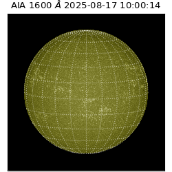 saia - 2025-08-17T10:00:14.122000