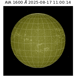 saia - 2025-08-17T11:00:14.125000