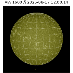 saia - 2025-08-17T12:00:14.125000