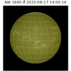 saia - 2025-08-17T14:00:14.125000