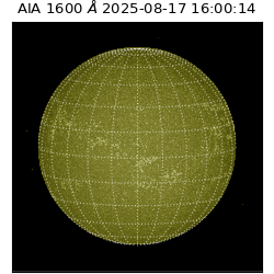 saia - 2025-08-17T16:00:14.126000