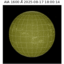 saia - 2025-08-17T18:00:14.126000